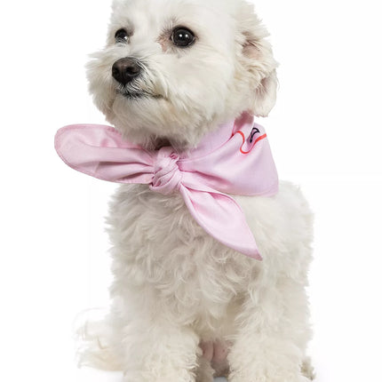 Bandana para perro Heart Breaker