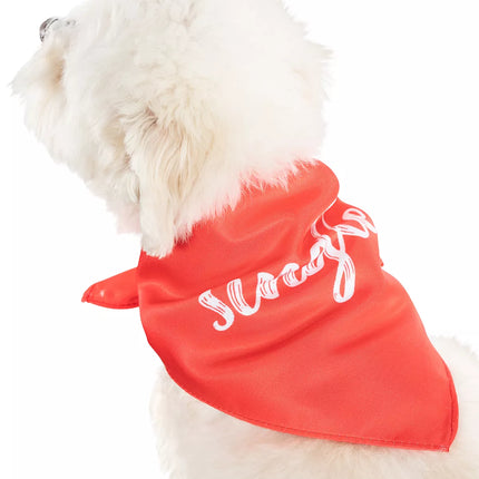 Bandana para perros Single